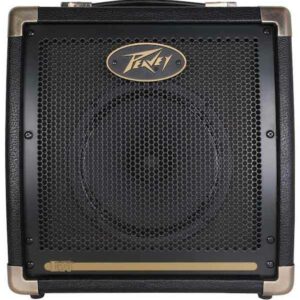 peavey ecoustic e20 - 1