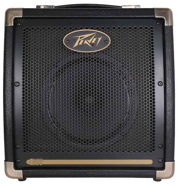peavey ecoustic e20 - 1