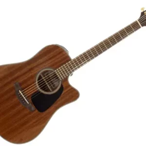 takamine tak gsd11mce ng - 1