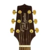 takamine tak gsd11mce ng - 2