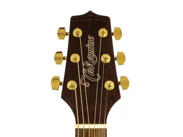 takamine tak gsd11mce ng - 2