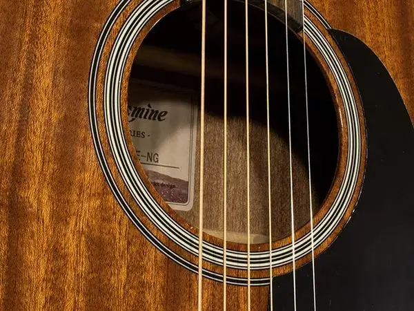 takamine tak gsd11mce ng - 4